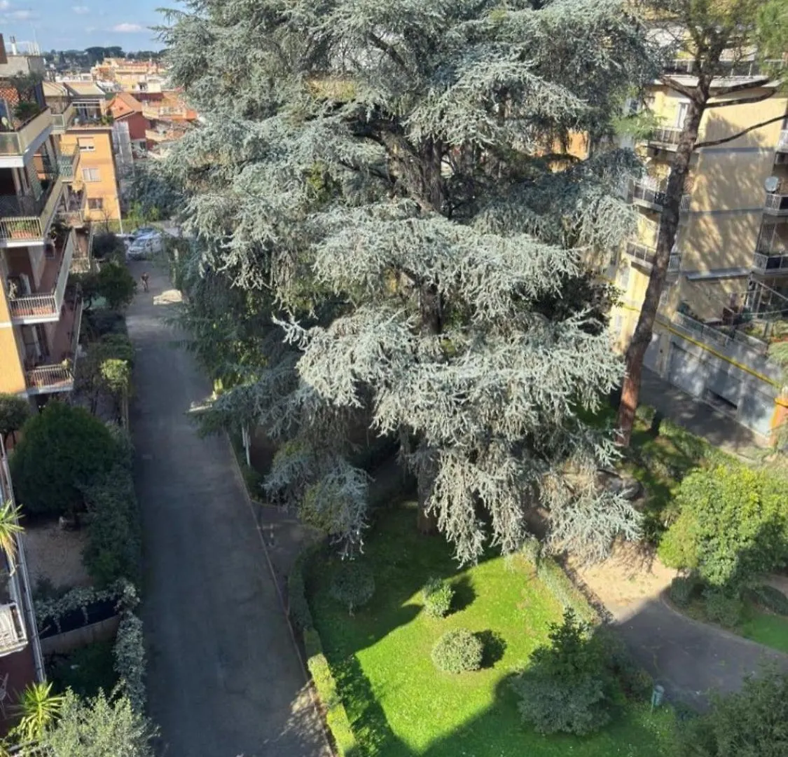 4M Apartment Rome Italy